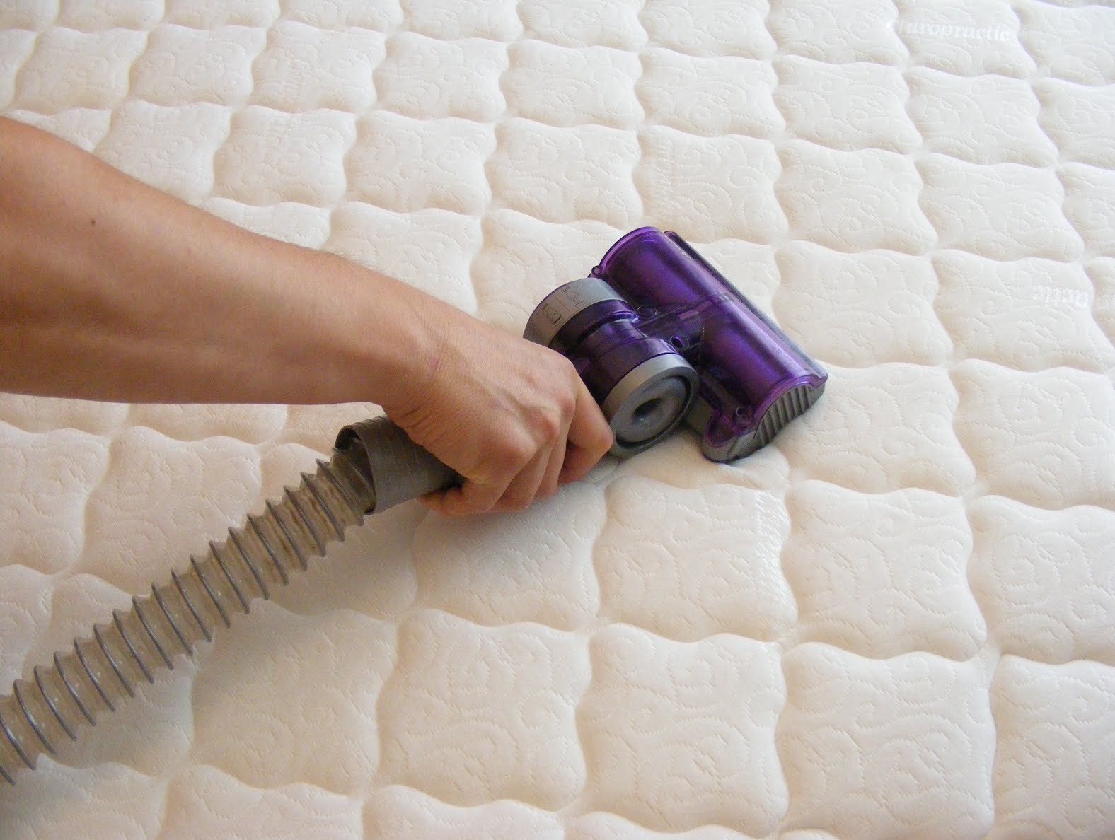 Vacuuming your mattress 1